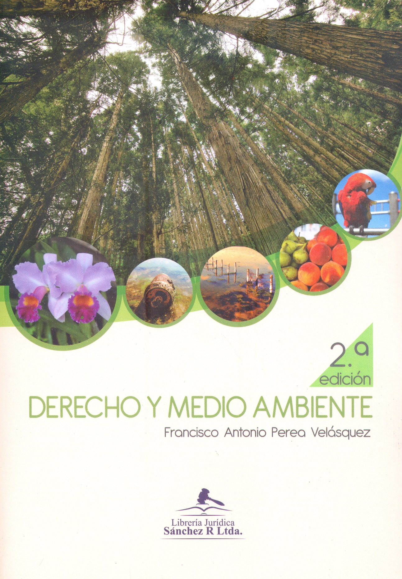 Libro